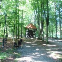 , mokunka