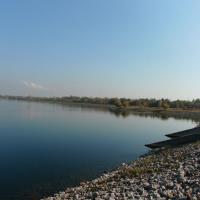 , mokunka