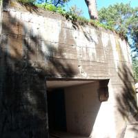 , mokunka