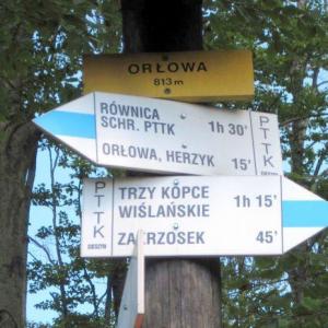 Orłowa
