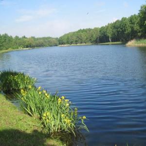 Park Miejski w Sosnowcu