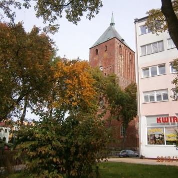 , Danusia