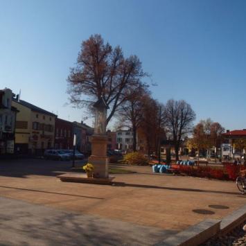 Rynek w Żarkach, Tadeusz Walkowicz