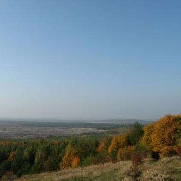 Pustynia znajduje się w granicach Parku Krajobrazowego Orlich Gniazd , Danuta