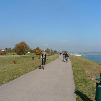 , mokunka