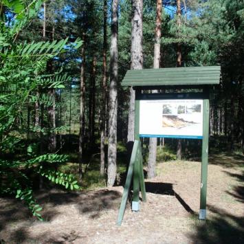 , mokunka
