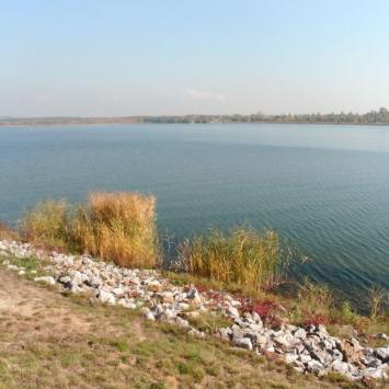 , mokunka
