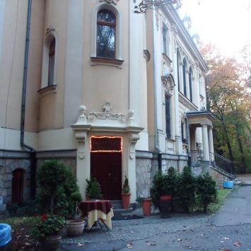 Pałac w Sosnowcu, mokunka