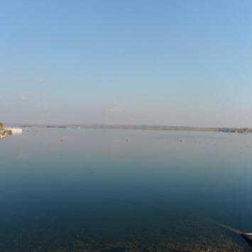 , mokunka