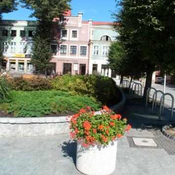 Rynek w Pucku, mokunka