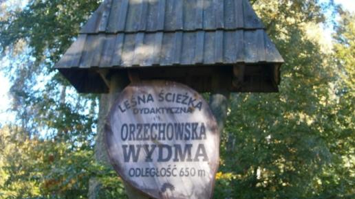 , Danusia