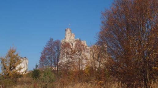 Ruiny Zamku Mirów, Tadeusz Walkowicz