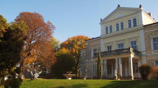 Pałac Raczyńskich, Tadeusz Walkowicz
