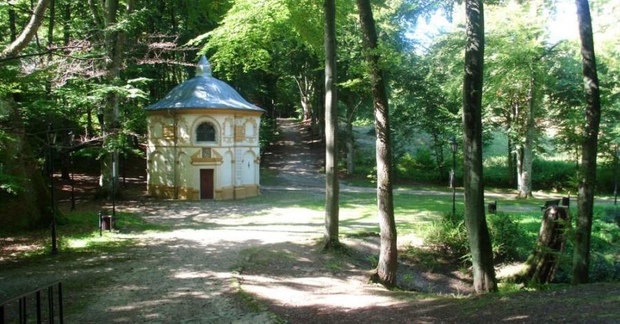 Piękna Kalwaria Wejherowska - zdjęcie