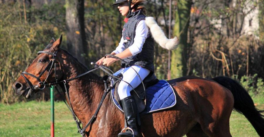 Hubertus w Zbrosławicach 2013 - zdjęcie