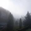 , mokunka