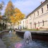 Cieszyn