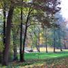 Park przy pałacu