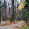Park w Kokoszycach