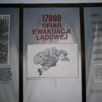 , Danusia