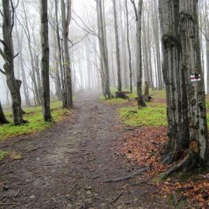 Beskid Węgierski w Beskidzie Śląskim