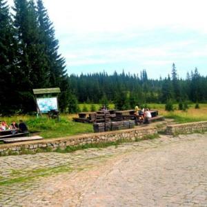 Rykowisko w Karkonoszach