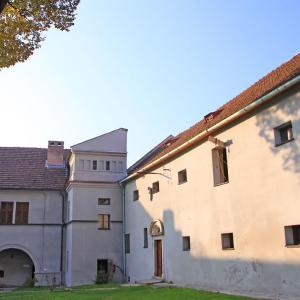 Zamek w Dzięgielowie