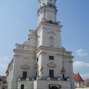 Ratusz w Kownie, Danusia
