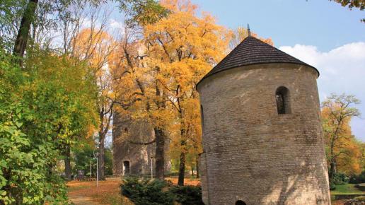 Park na Górze Zamkowej