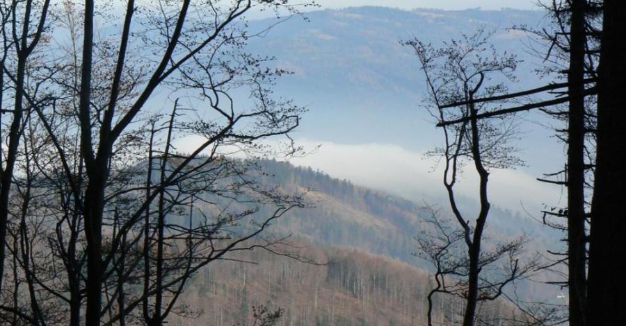 Klimczok, Szyndzielnia, Kozia Górka - zdjęcie