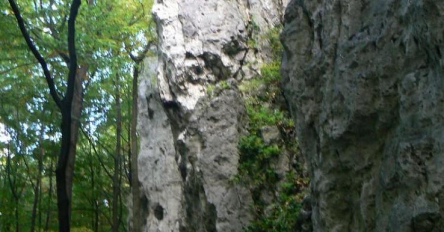 Dolina Dłubni - Jura Krakowsko - Częstochowska - zdjęcie