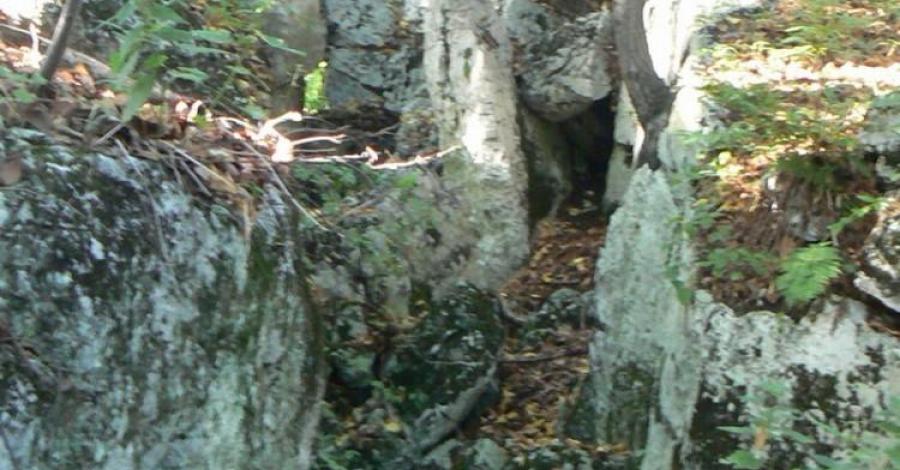 Rezerwat Pazurek - Jura Krakowsko Częstochowska - zdjęcie