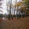 park nadmorski, Danusia