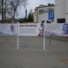 tablica o Maxie Pechsteinie, Danusia