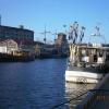 port w Ustce, Danusia