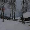 , Katarzyna Jamrozik
