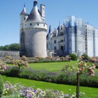 zamek w Chenonceau, Danusia