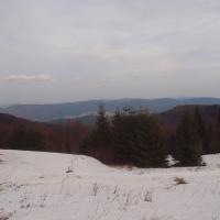 Widok z Hali Łabowskiej, Tadeusz Walkowicz