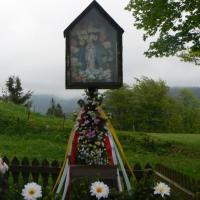 , Katarzyna Jamrozik