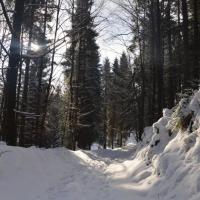 , Katarzyna Jamrozik