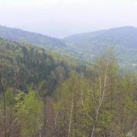 , Katarzyna Jamrozik