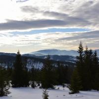 , Katarzyna Jamrozik