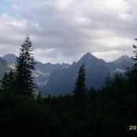 , Katarzyna Jamrozik