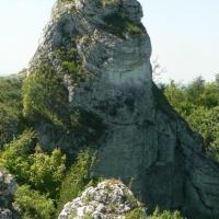 , Katarzyna Jamrozik