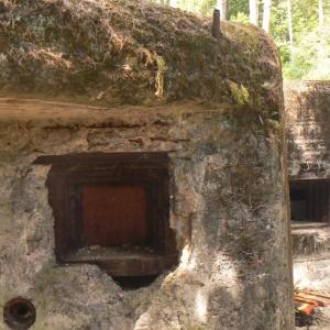 Fort Waligóra w Węgierskiej Górce