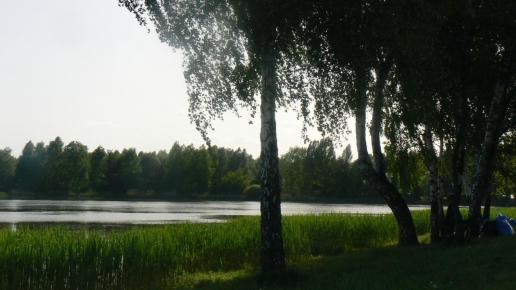 , Katarzyna Jamrozik