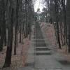 schody do sanktuarium, Danusia