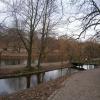 widok na park, Danusia