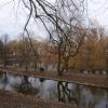 widok na park, Danusia