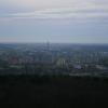 widok z wieży na Koszalin, Danusia